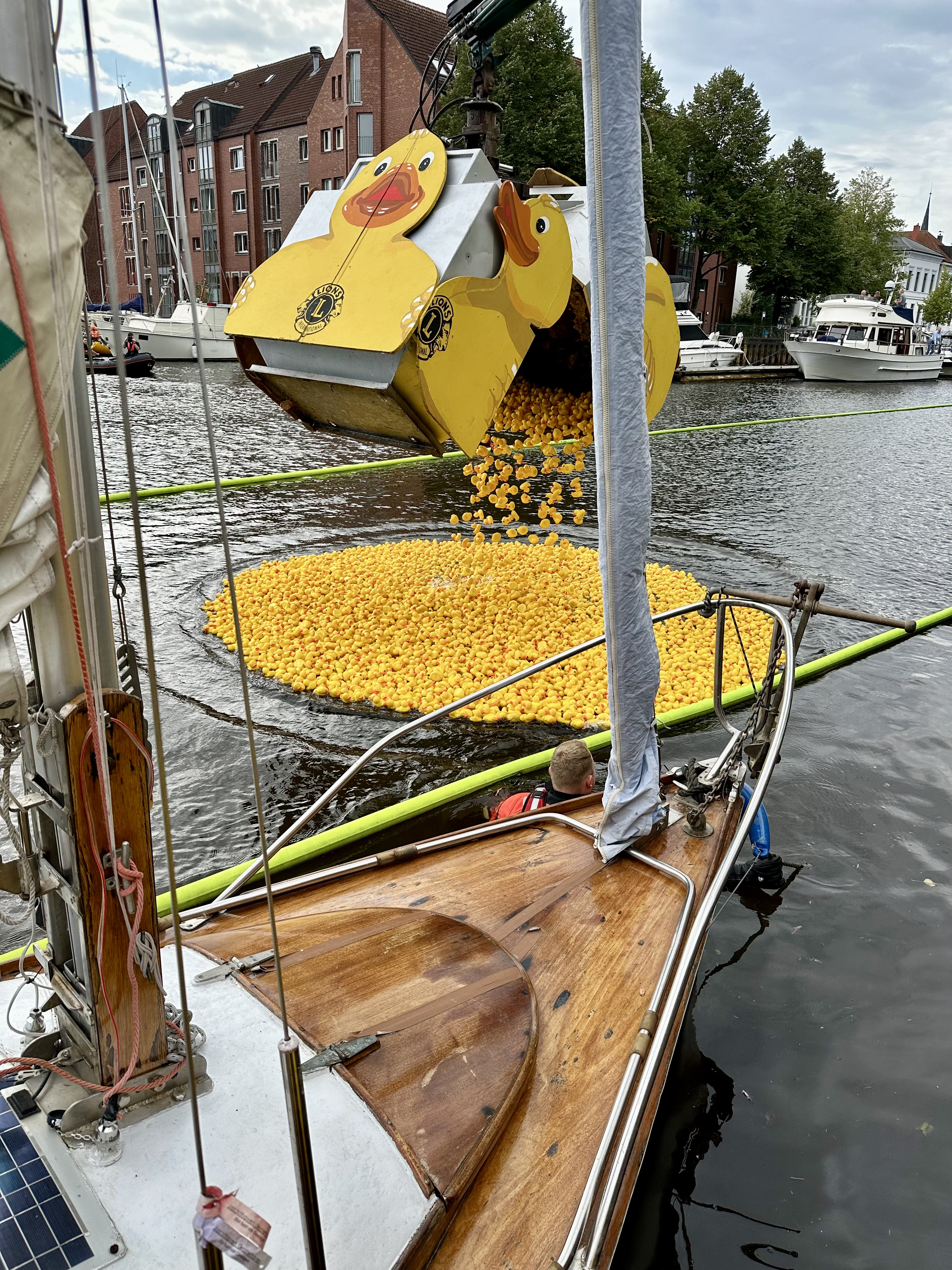 Container mit Enten