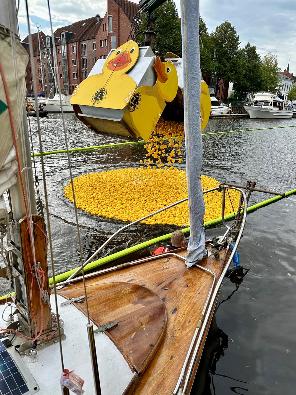 Container mit Enten